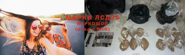PSILOCYBIN Богородск