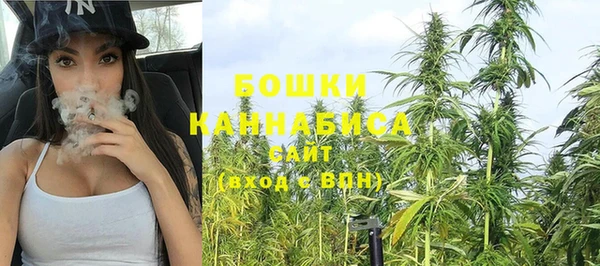 PSILOCYBIN Богородск