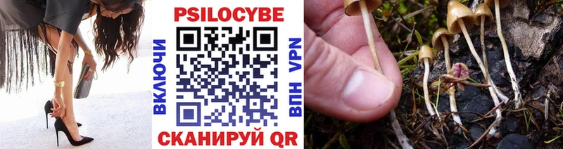 Купить где  Искитим  Псилоцибиновые грибы GOLDEN TEACHER 